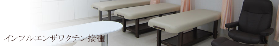 インフルエンザワクチンのご案内。小牧市中央にある内科、小児科、消化器内科の医院です。