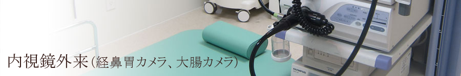 胃カメラ・経鼻胃カメラ・大腸カメラのご案内。小牧市中央にある内科、小児科、消化器内科の医院です。