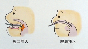 カメラの鼻の通り方